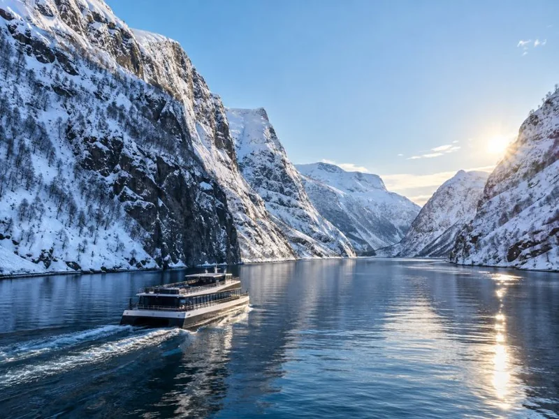 Excursion hivernale depuis Bergen : croisière sur le Nærøyfjord, Flåm et Stegastein